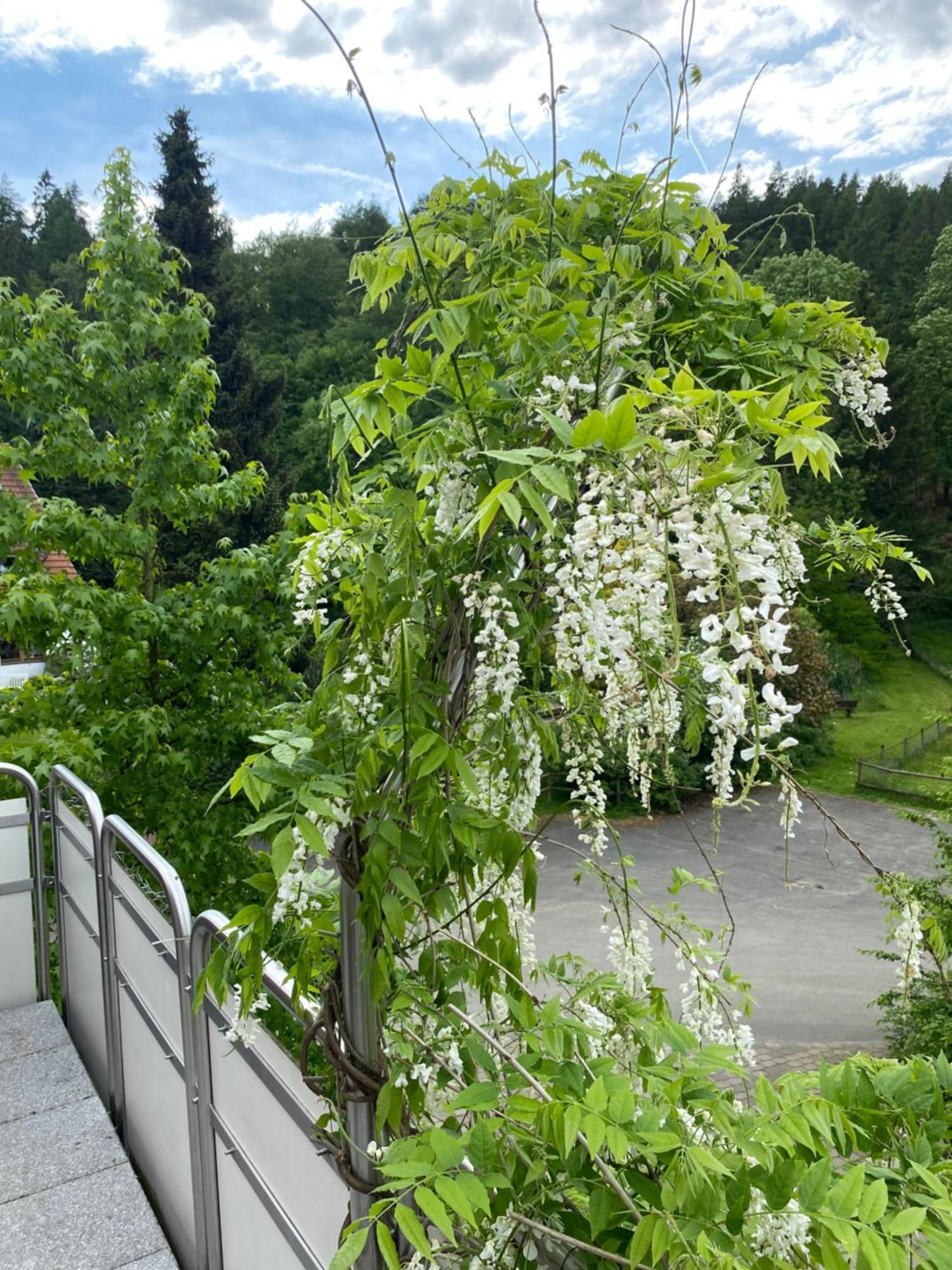 Ferienhof Kroeger Bielefeld Ngoại thất bức ảnh